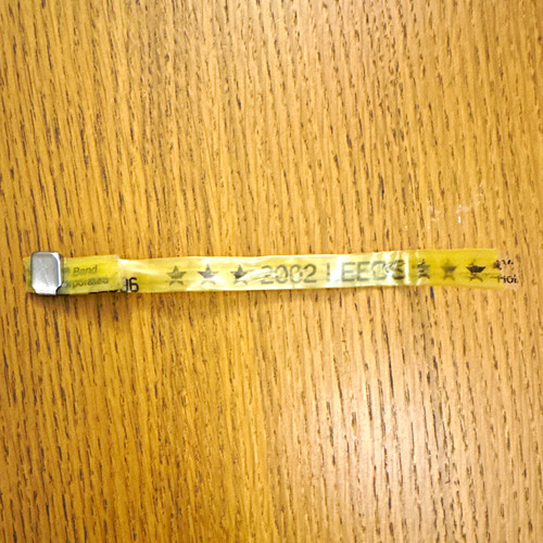 Leeds festival 2002 wristband - festival,