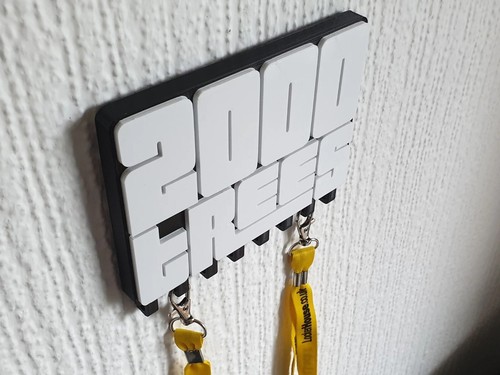 2000 trees festival wristband - festival,