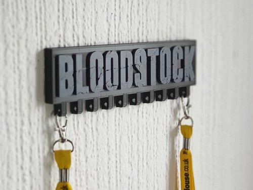 Bloodstock festival wristband - festival,