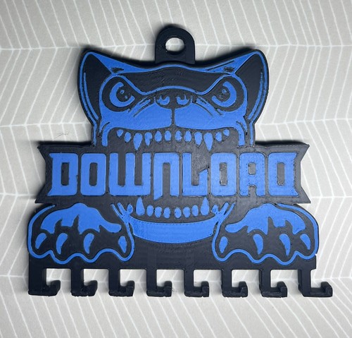 Download festival wristband